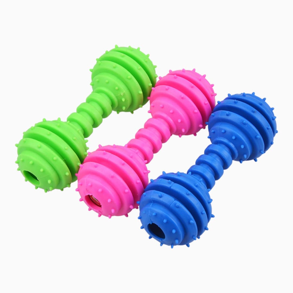 TPR Rubber Dumbbell With Bell Toy - Verter Pets - Fun, Play, Toys