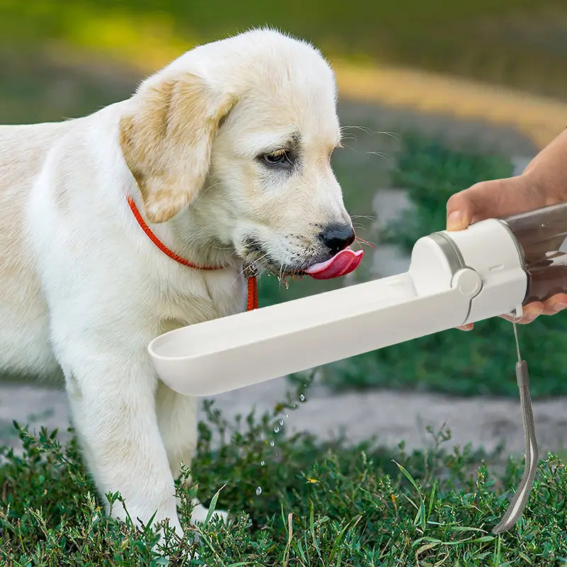 Dog Foldable Portable Outdoor Water Dispenser Bottle, Leak Proof - Verter Pets - , ,