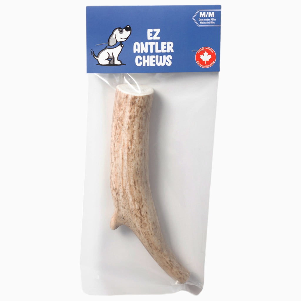 Elk Chew - All Natural, Organic, Nutrient Rich, Long Lasting Antler Chews For Dogs - Verter Pets - Bite, Bone, Brush