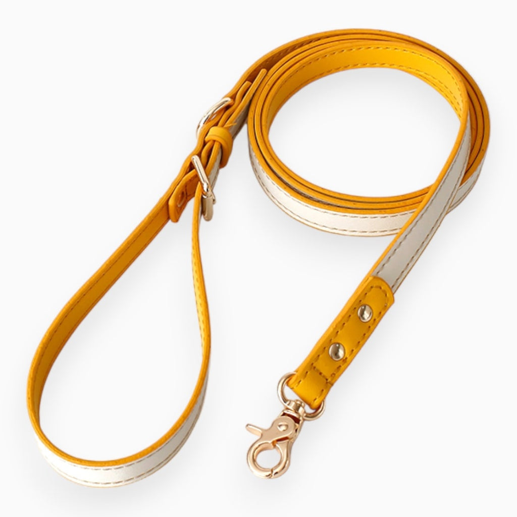 The Pluto Leather Leash - Verter Pets - Collars, fashion, Leather