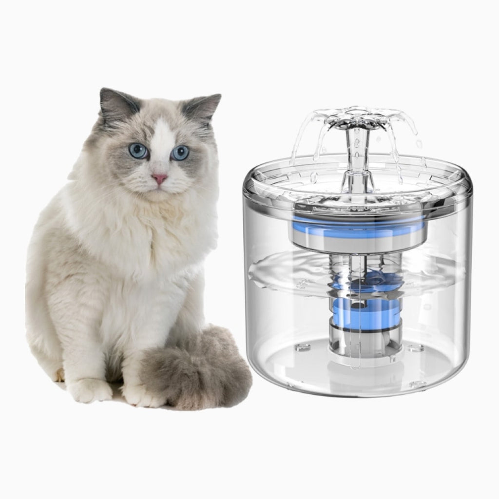 Transparent Water Fountain 2.6L Capacity - Verter Pets - Fountain, Water,