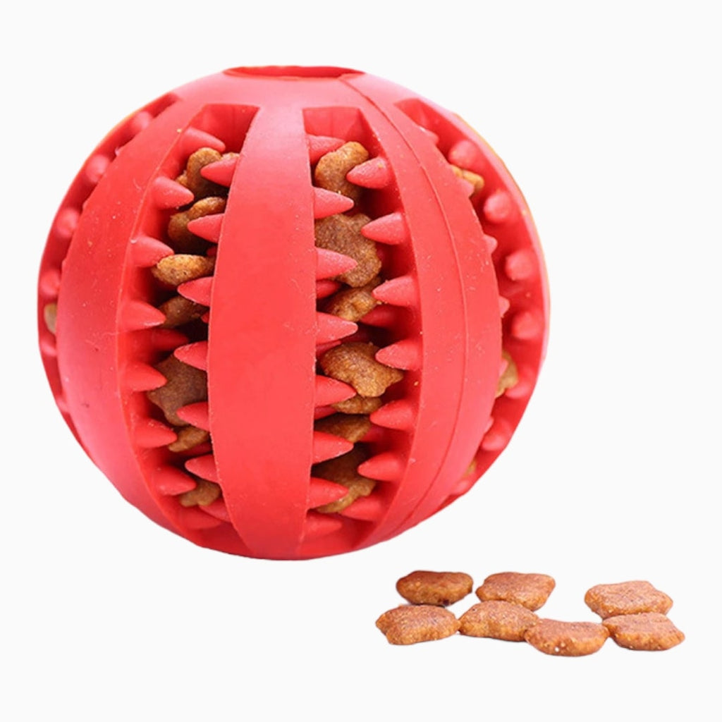 Watermelon Leaky Ball – Small and Medium Sizes - Verter Pets - Fun, Play, Toys