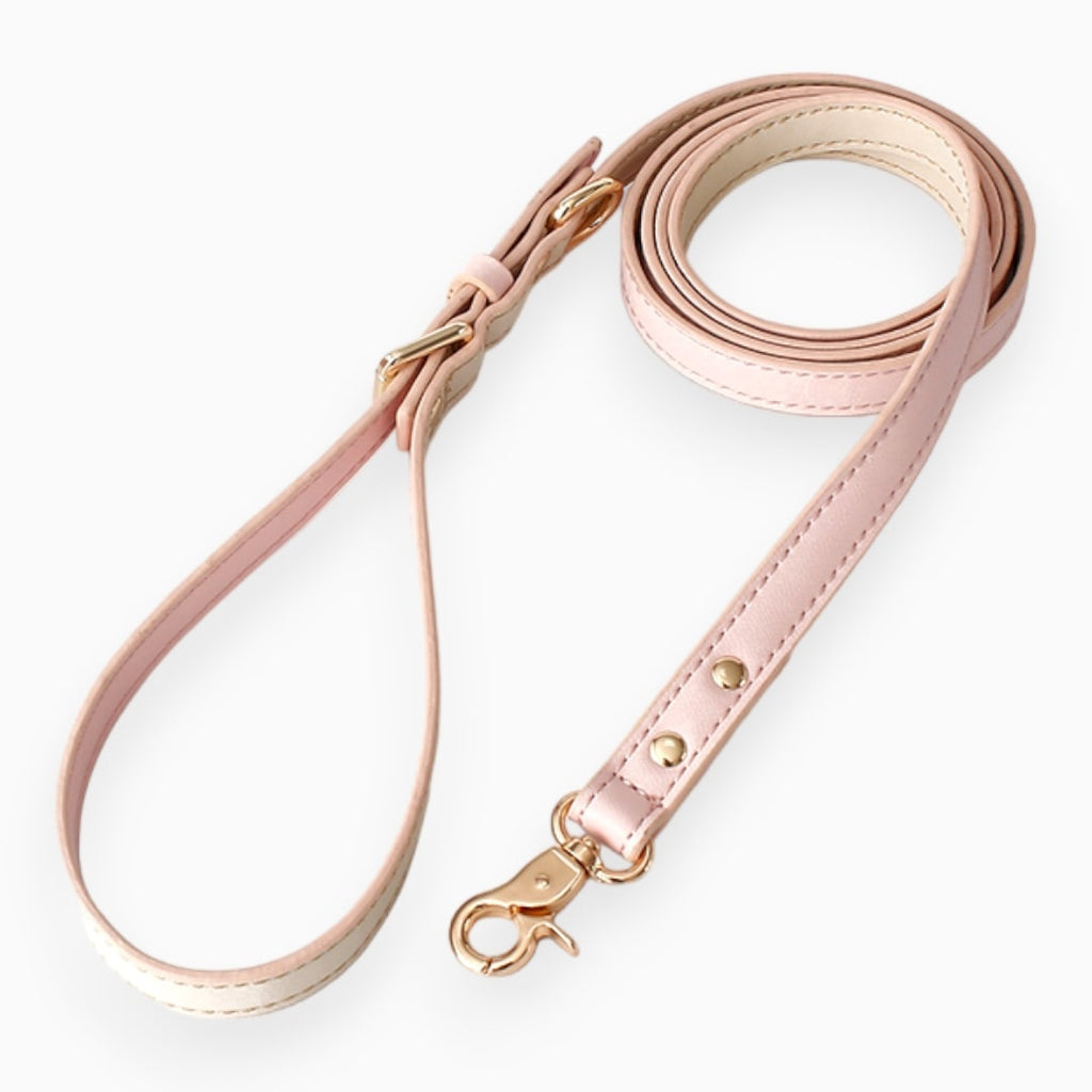 The Pluto Leather Leash - Verter Pets - Collars, fashion, Leather