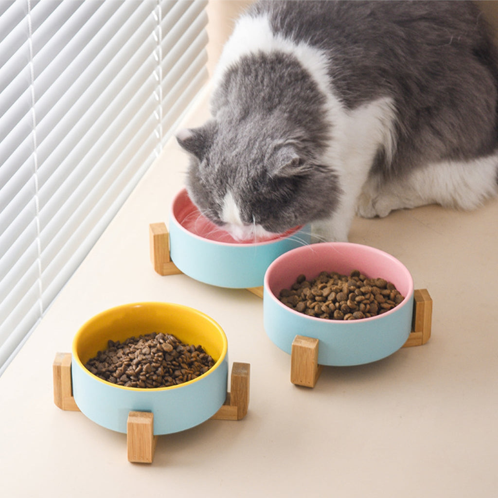 Colourful Classic Ceramic Bowl - Verter Pets - Bowl, Feeding, Food