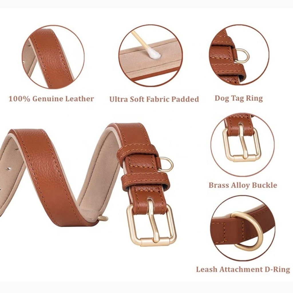 Grain Leather Collar - Verter Pets - Collars, Leather, Luxurious