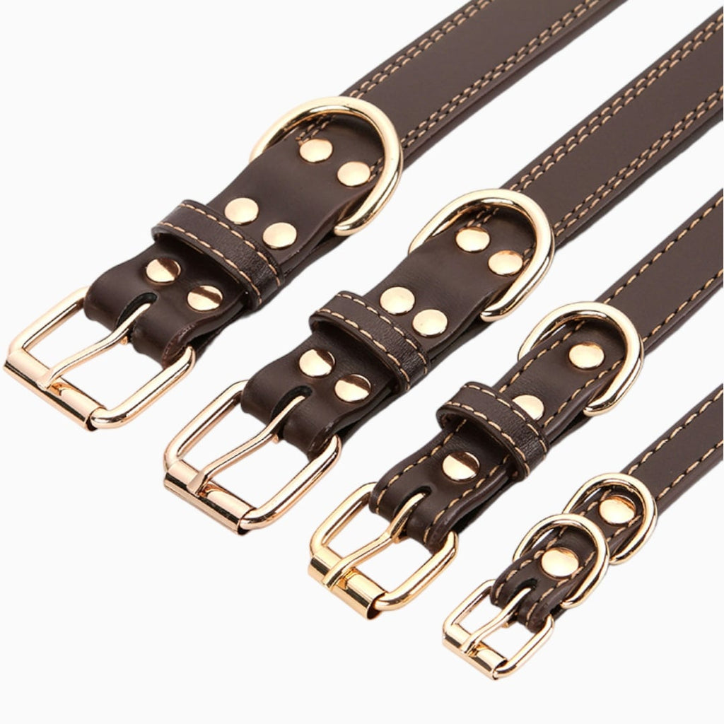 Leather Dog Collar - Verter Pets - Collars, Leather, Luxurious