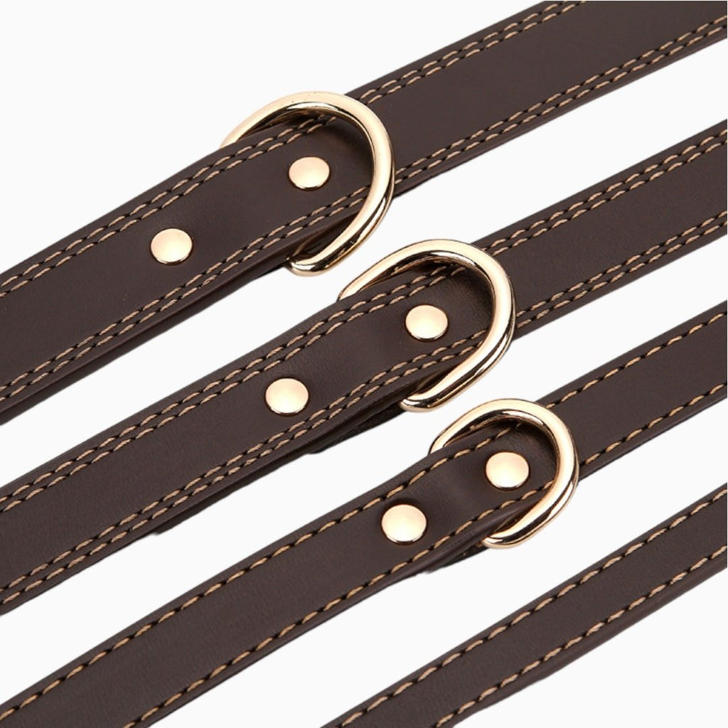 Leather Dog Collar - Verter Pets - Collars, Leather, Luxurious