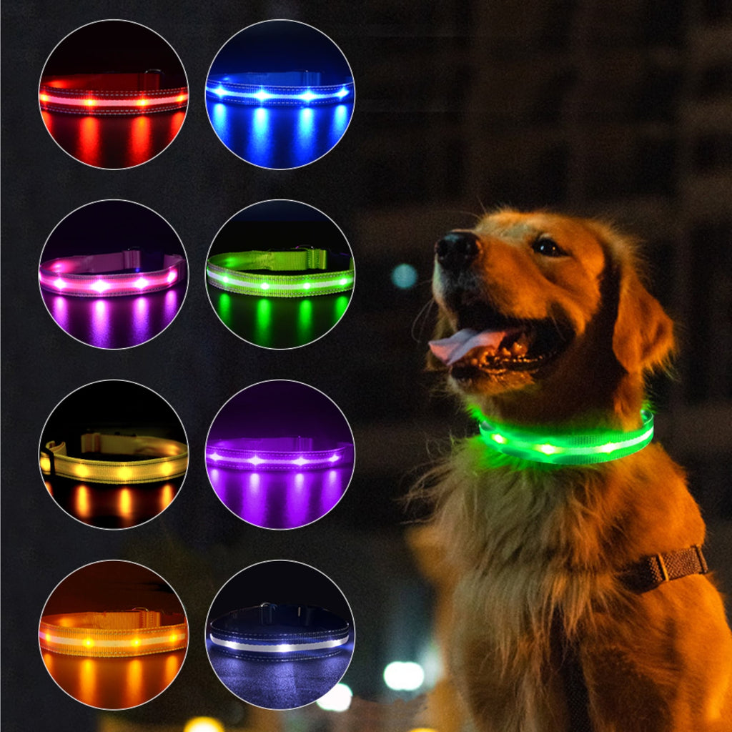 LED Dog Collar - Verter Pets - Collars, ,