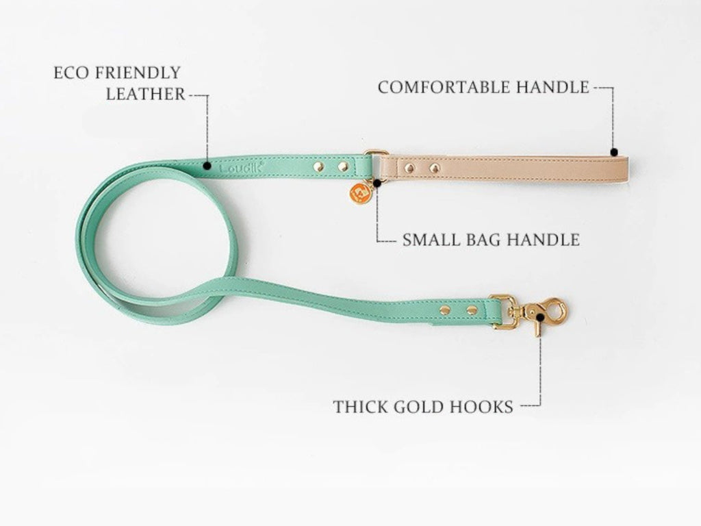 Luxie Leather Leash - Verter Pets - Collars, fashion, Leather