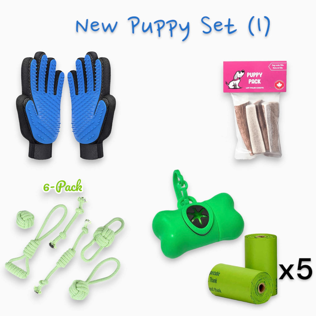 New Puppy Set (I) - Verter Pets - , ,